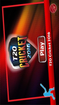 IPL T20 Cricket 2015游戲截圖2