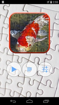 Koi Jigsaw Puzzle游戲截圖1