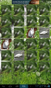 Language Memory Game: Animals游戲截圖1