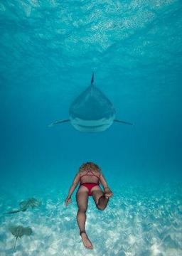 SHARK ADVENTURE游戲截圖3