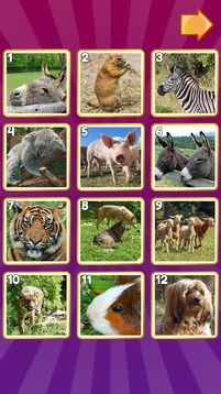 Mori Picture Puzzle游戲截圖1