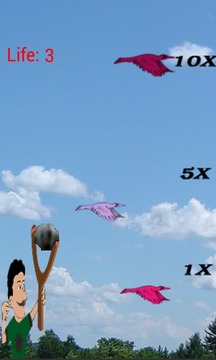 Sky Bird Hunter游戲截圖4