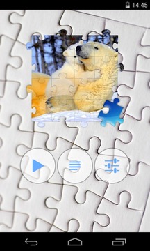 Bear Jigsaw Puzzle游戲截圖2