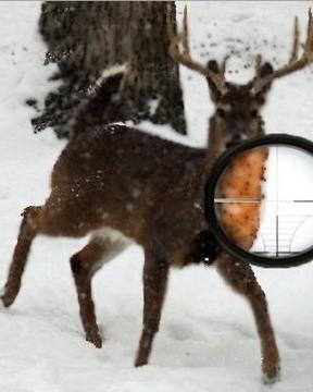 Deer Winter Hunter 2014游戏截图1