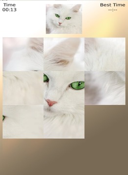 White Cat Puzzle游戲截圖3