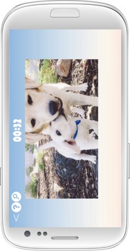 Labrador Retriever Dog Puzzle游戲截圖3