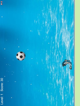 Dolphin Juggling游戲截圖5