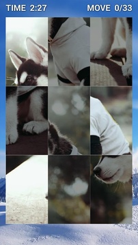 Siberian Husky Puzzle Game游戲截圖3