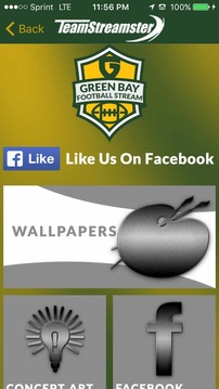 Green Bay Football STREAM游戲截圖5