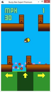 Buzzy Bee Expert游戲截圖4