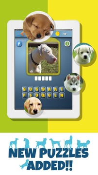 DogdomDogs guess the dog FREE游戲截圖1