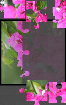 Jigsaw Puzzles Free游戲截圖3