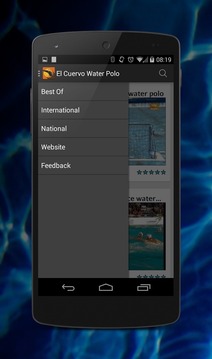 El Cuervo Water Polo游戏截图5