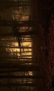 Fear Forest Escape游戲截圖3