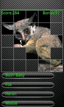 The Animal Quiz游戲截圖3
