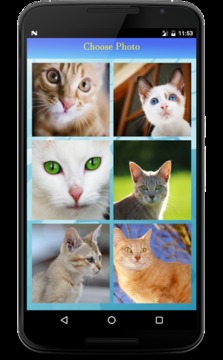 Cute Cat Puzzle游戲截圖4