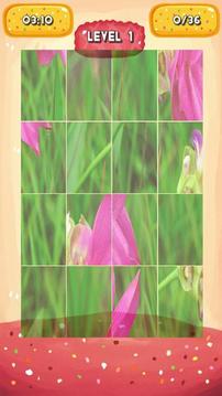 Siam Tulip Jigsaw Puzzles游戲截圖4