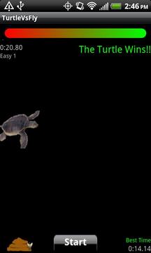 Turtle Vs Fly Lite游戲截圖2