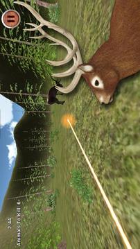 Forest Sniper Hunter 2015游戲截圖2