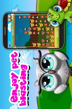 Pet Dash Mania游戲截圖3