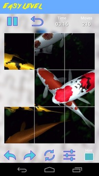 Koi Jigsaw Puzzle游戲截圖4
