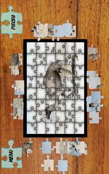 Jigsaw Puzzles Animals World游戲截圖3