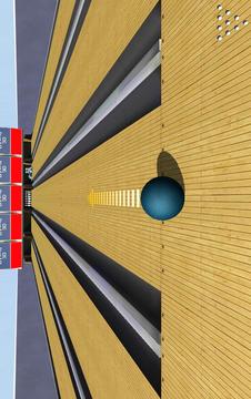 Online Bowling Oyunu 3D游戲截圖5