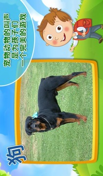 真正的寵物動物的聲音V1.0.0游戲截圖4