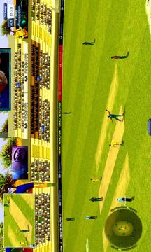 Cricket Ultimate游戲截圖3
