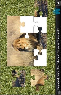 Kids Animals Puzzle游戲截圖4