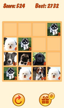 20 48 Dogs Puzzle with mPOINTS游戏截图1
