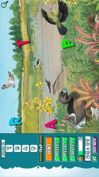 Hidden Jr FREE Habitat Spy游戲截圖4