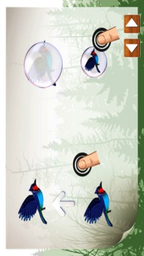 Crazy Jungle Bird游戲截圖2