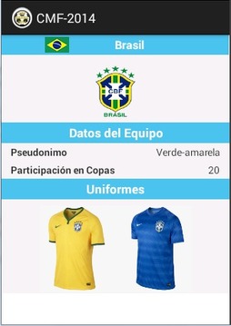 CMF BRASIL 2014游戲截圖4