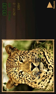 PuzzBox Africa Picture Puzzle游戲截圖4