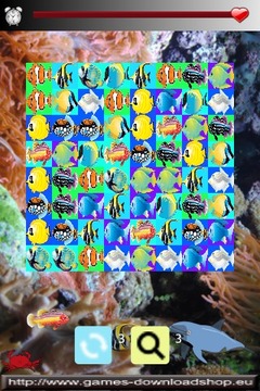 Fish Racing Games Kids游戲截圖2
