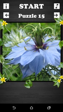 Exciting Puzzle - Flowers游戲截圖2