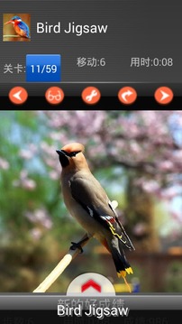 Kids puzzle – Bird游戲截圖4