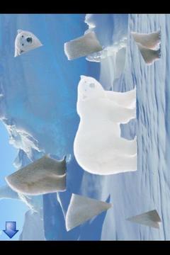 Animal puzzles for kids (lite)游戲截圖4