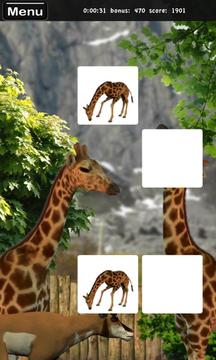 Memorize! Zoo游戲截圖1