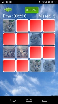 Cute Cat Memory游戲截圖2