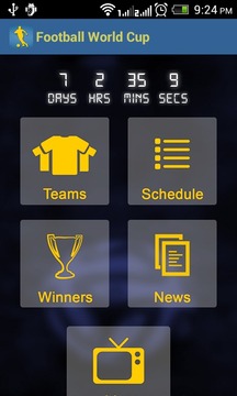 Football World Cup游戲截圖2