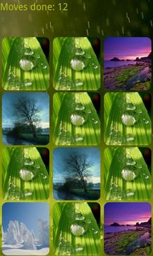 Nature Memory HD游戲截圖1