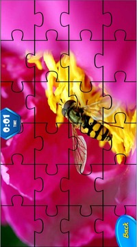Gameix - Puzzle游戲截圖1