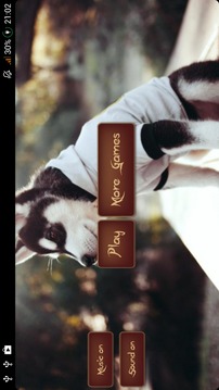 Husky Puzzle游戲截圖2