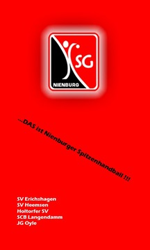 HSG Nienburg游戲截圖2