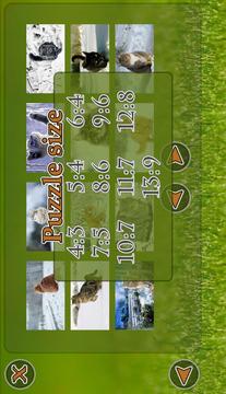 Cats Puzzle游戲截圖4