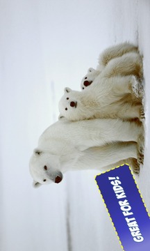 Free Cubs Jigsaw Puzzle游戲截圖4