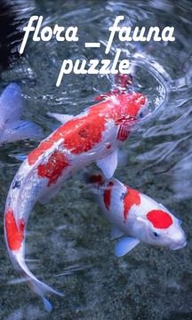 Flora Fauna Puzzle游戲截圖4