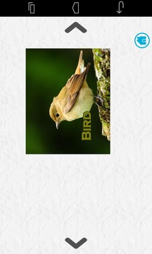 Jigsaw Puzzles Game for Kids游戲截圖4
